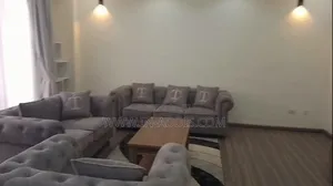 Furnished 3bdrm Apartment in Lideta for rent