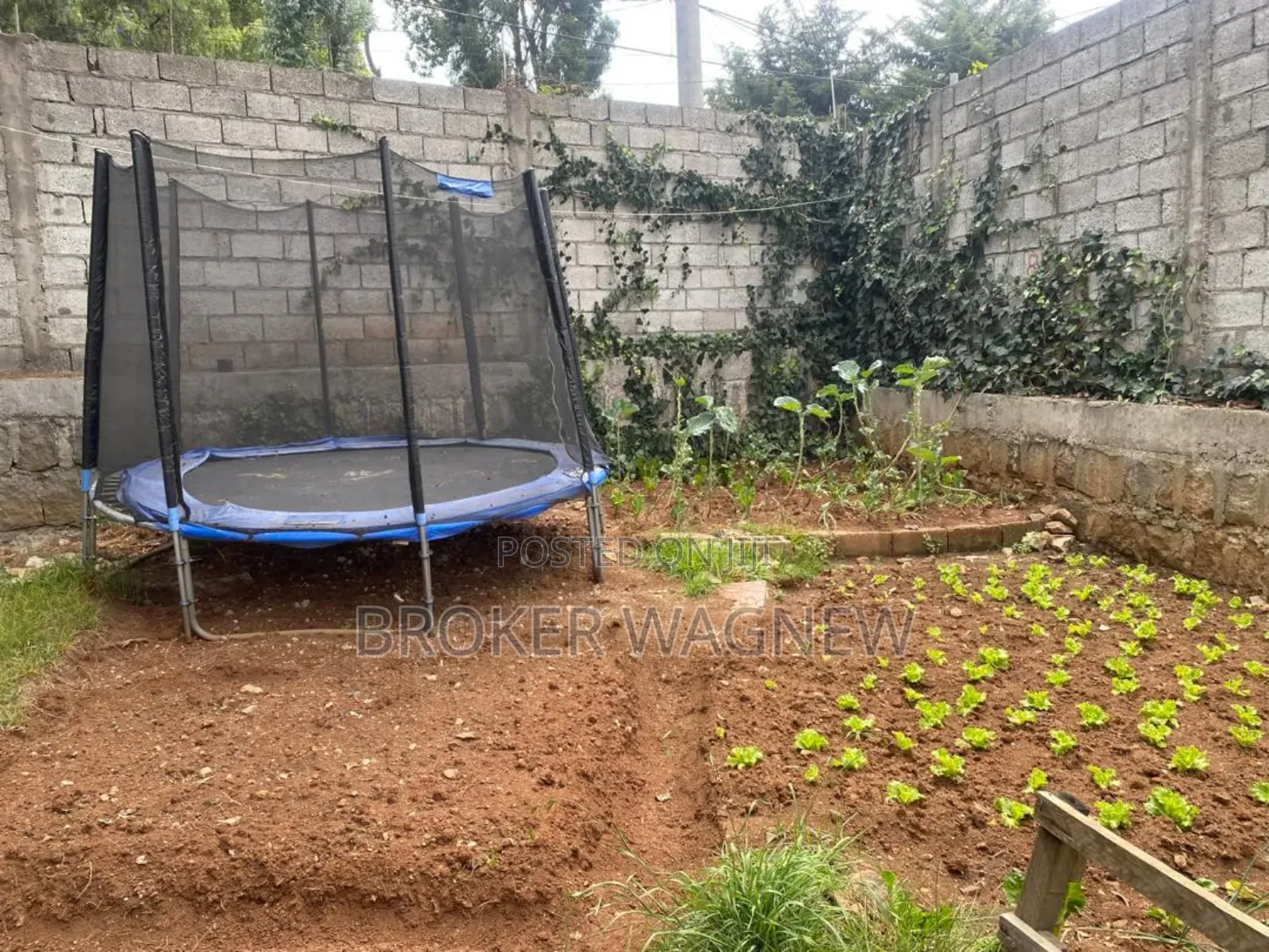 3bdrm Villa in Yeka for rent