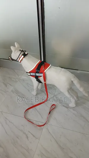 Photo - Dog K-9 Harness