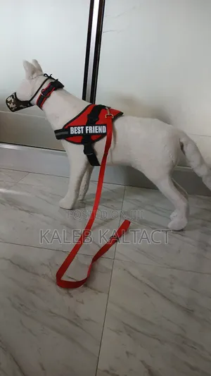 Dog K-9 Harness