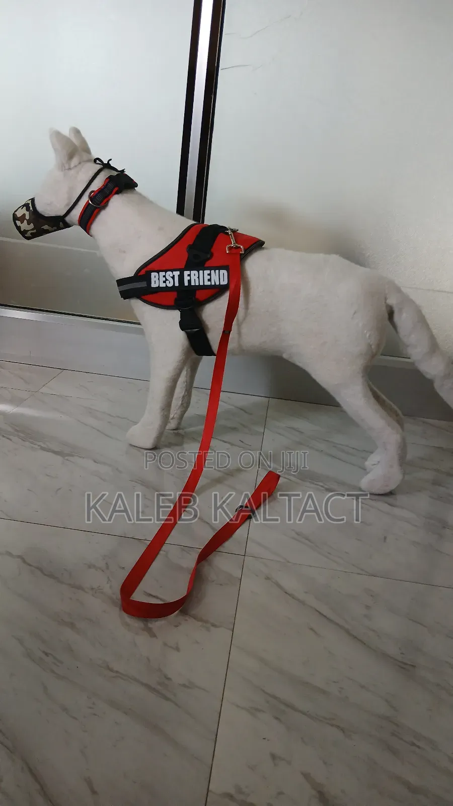 Dog K-9 Harness