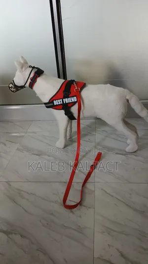 Dog K-9 Harness