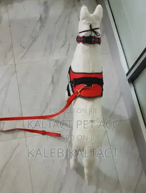 Dog K-9 Harness