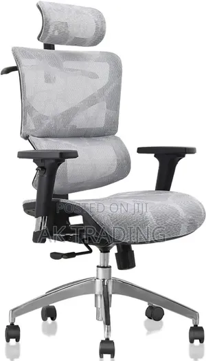 Photo - Modern and Luxury Ergonomic Chair