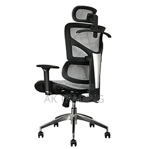 Modern and Luxury Ergonomic Chair