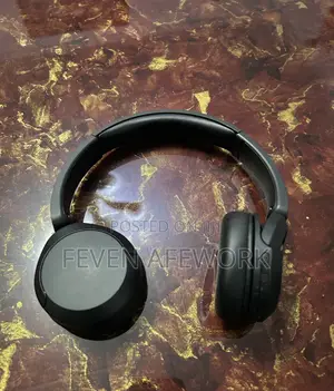 Photo - Sony Wh-Ch520 Headphone