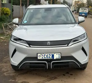 Photo - BYD Yuan Up 2024 Silver