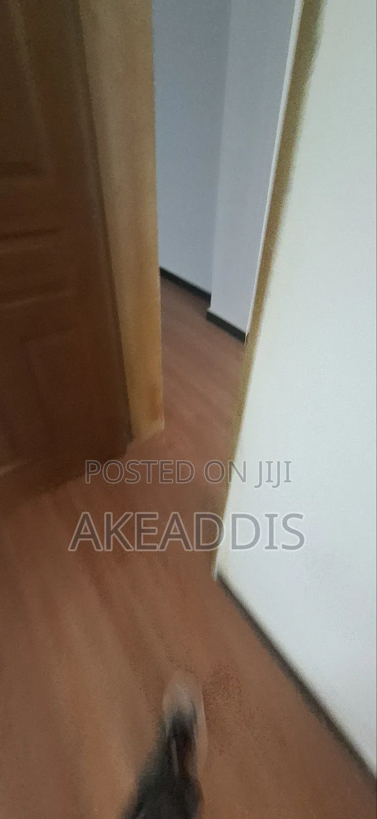 Furnished 3bdrm Condo in Bole Ayat for sale