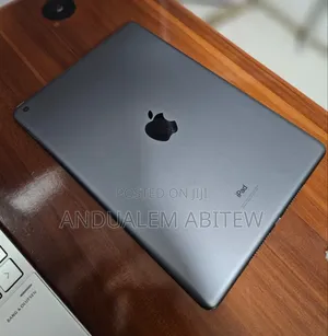 New Apple iPad (2022) 256 GB Gray