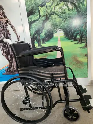Photo - Wheelchair與國wheelchair笑聲wheelchair牌照wheelchair本報wheelchair