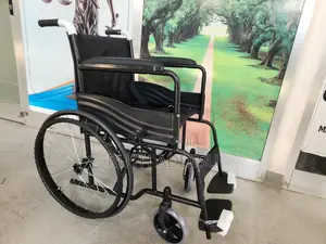 Wheelchair走了wheelchair有關wheelchair黨員wheelchair麗都wheelchair