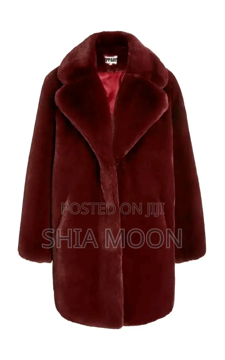 Elegant Look Coat