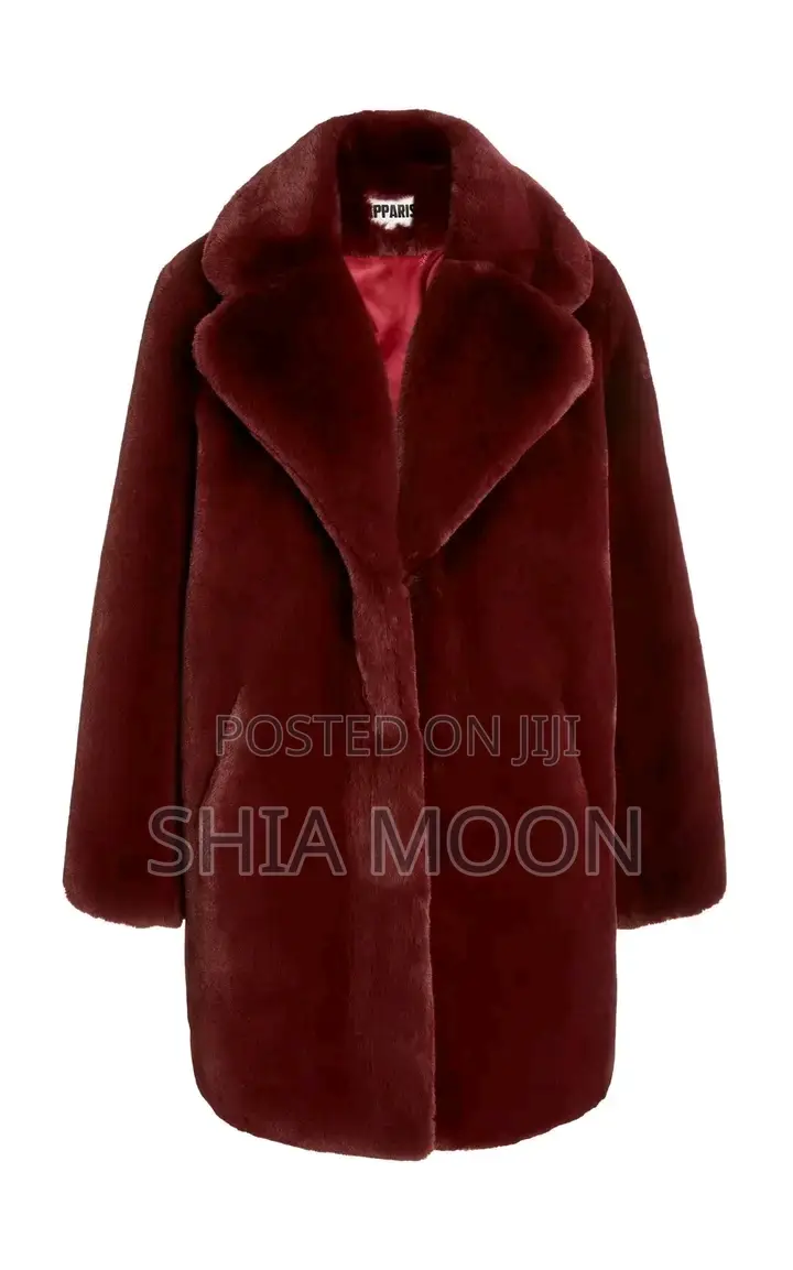 Elegant Look Coat