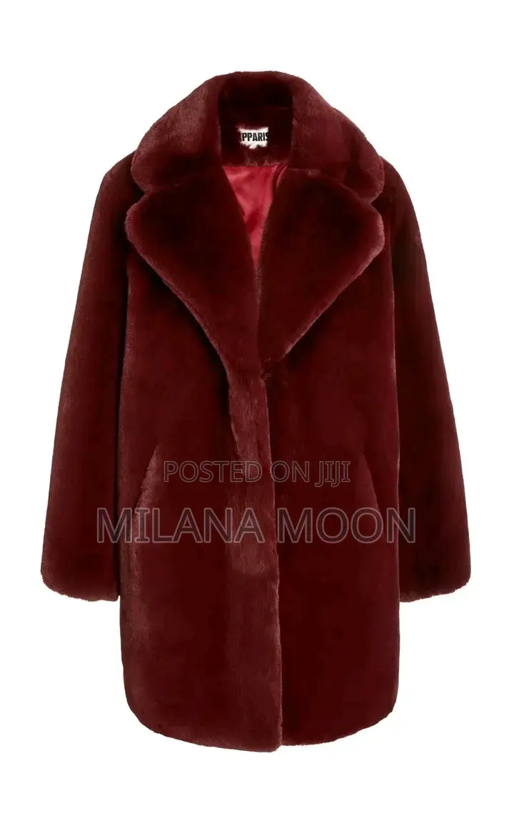 Elegant Look Coat