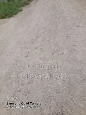 Harizona Bota
