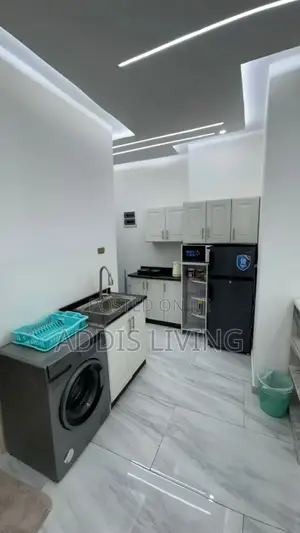 Furnished 1bdrm Apartment in Bole for rent