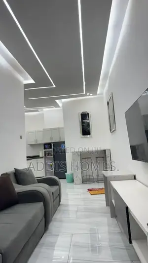 Furnished 1bdrm Apartment in Bole for rent