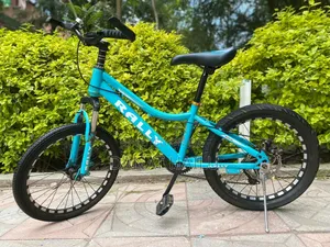 Photo - Bicycle Bike