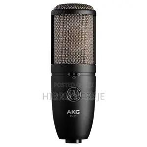 Photo - Akg P420 Studio Mic