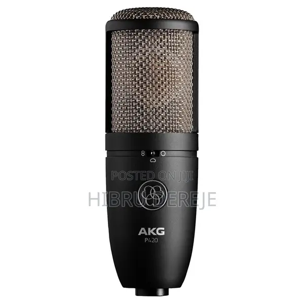 Akg P420 Studio Mic