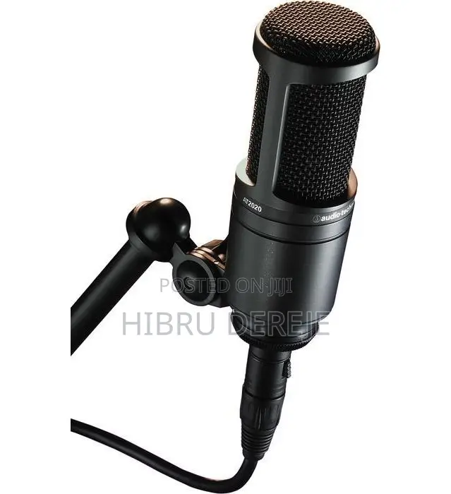 Audio-Technica At2020 Studio Mic