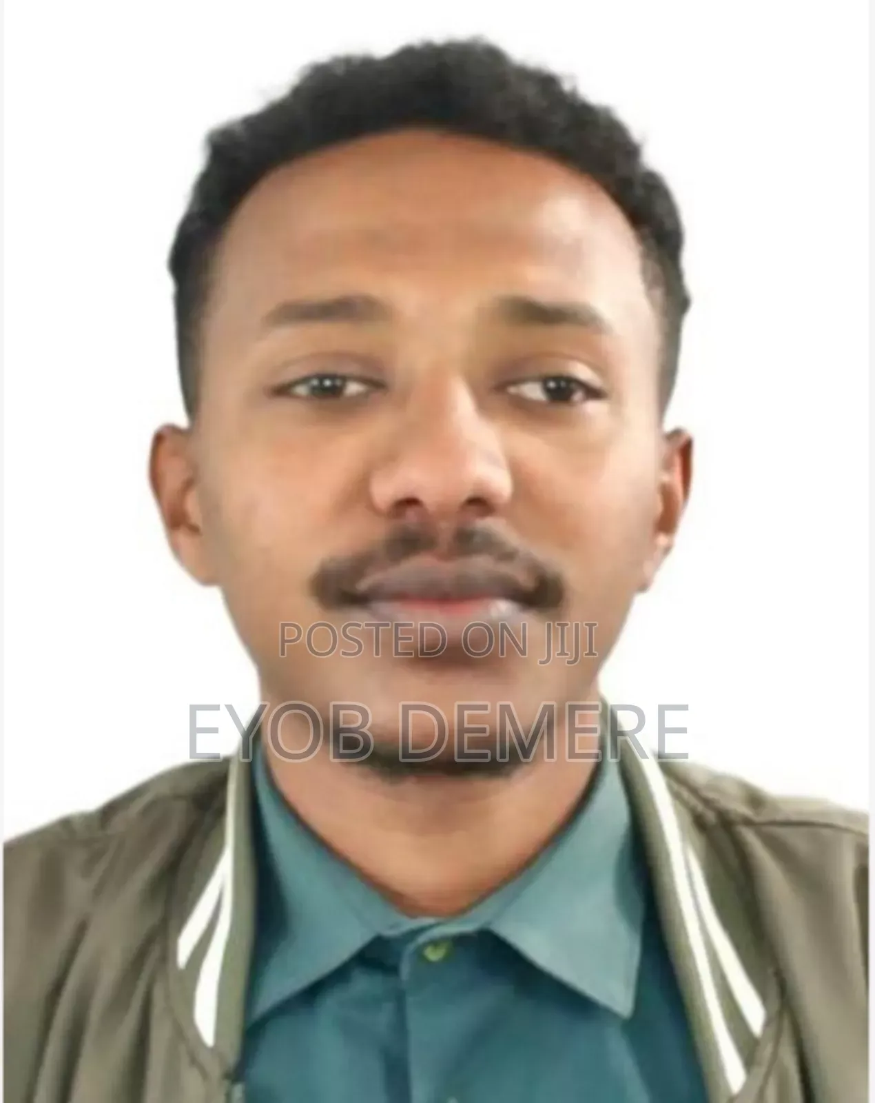 Purchaser/Procurement/Logistics