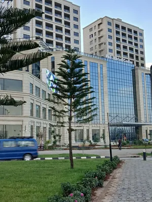 Photo - 3bdrm Apartment in Apartment, Yeka for rent