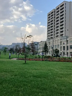 Photo - 2bdrm Apartment in Apartment, Yeka for rent