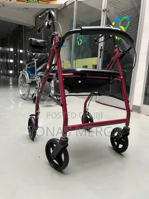 Walker With Padded Back and Seat for Resting烊نpocket Walker