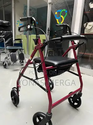 Photo - Walker With Padded Back and Seat for Resting烊نpocket Walker