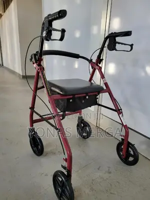 Photo - Walker/Both Support Convenient Place to Rest During Walks.