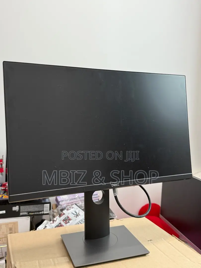 Dell 24 Inch Frameless Monitor