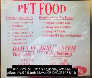 Photo - Dog and Cat Food