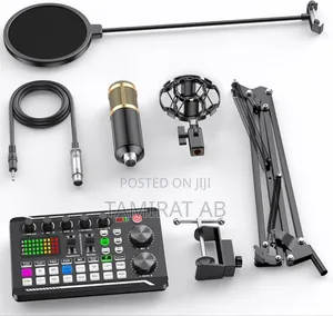 Photo - Professional Live Sound Card Condenser Microphone