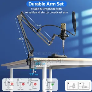 Professional Live Sound Card Condenser Microphone