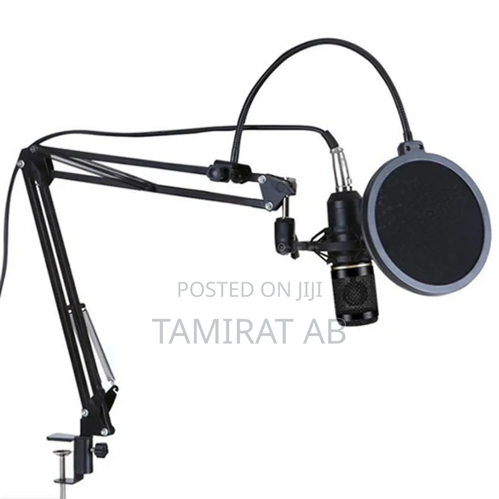 Professional Live Sound Card Condenser Microphone