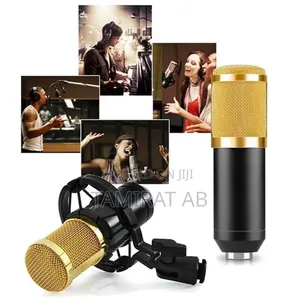 Professional Live Sound Card Condenser Microphone