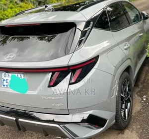 Photo - Hyundai Tucson Plug-In Hybrid 2024 Gray