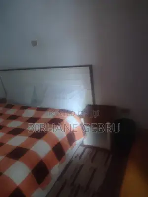 G+2 House Fernished Giest House for Rent