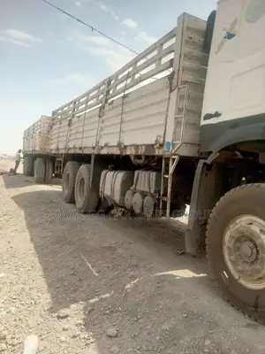 Photo - Cacion. 2016. Model