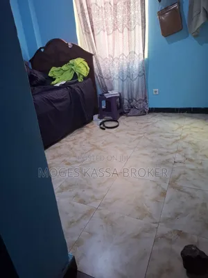 Furnished 2bdrm Condo in የሚሸጥ አያት መብራት ኃይል, Yeka for sale