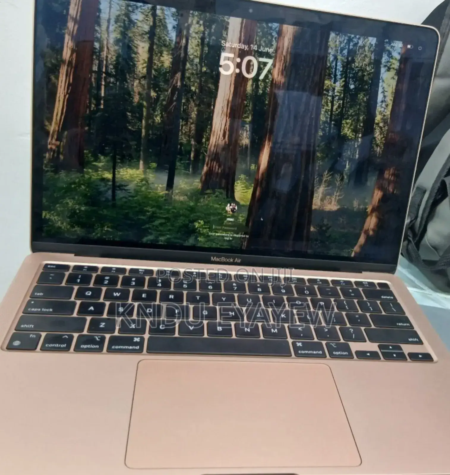 New Laptop Apple MacBook 8GB Intel Core M SSD 256GB