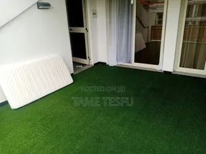 Furnished 6bdrm House in Hayat, Bole for sale