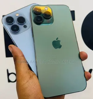 New Apple iPhone 13 Pro Max 256 GB Silver