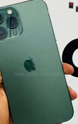 New Apple iPhone 13 Pro Max 256 GB Silver