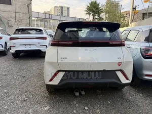 Photo - New BYD Seagull 2025 Brown