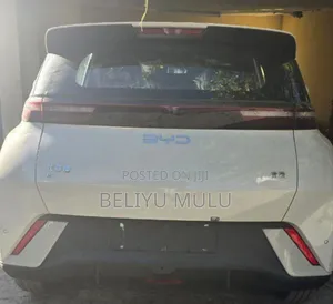 New BYD Seagull 2025 Brown