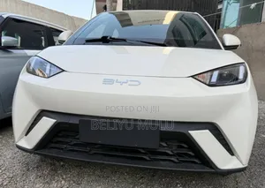 New BYD Seagull 2025 Brown