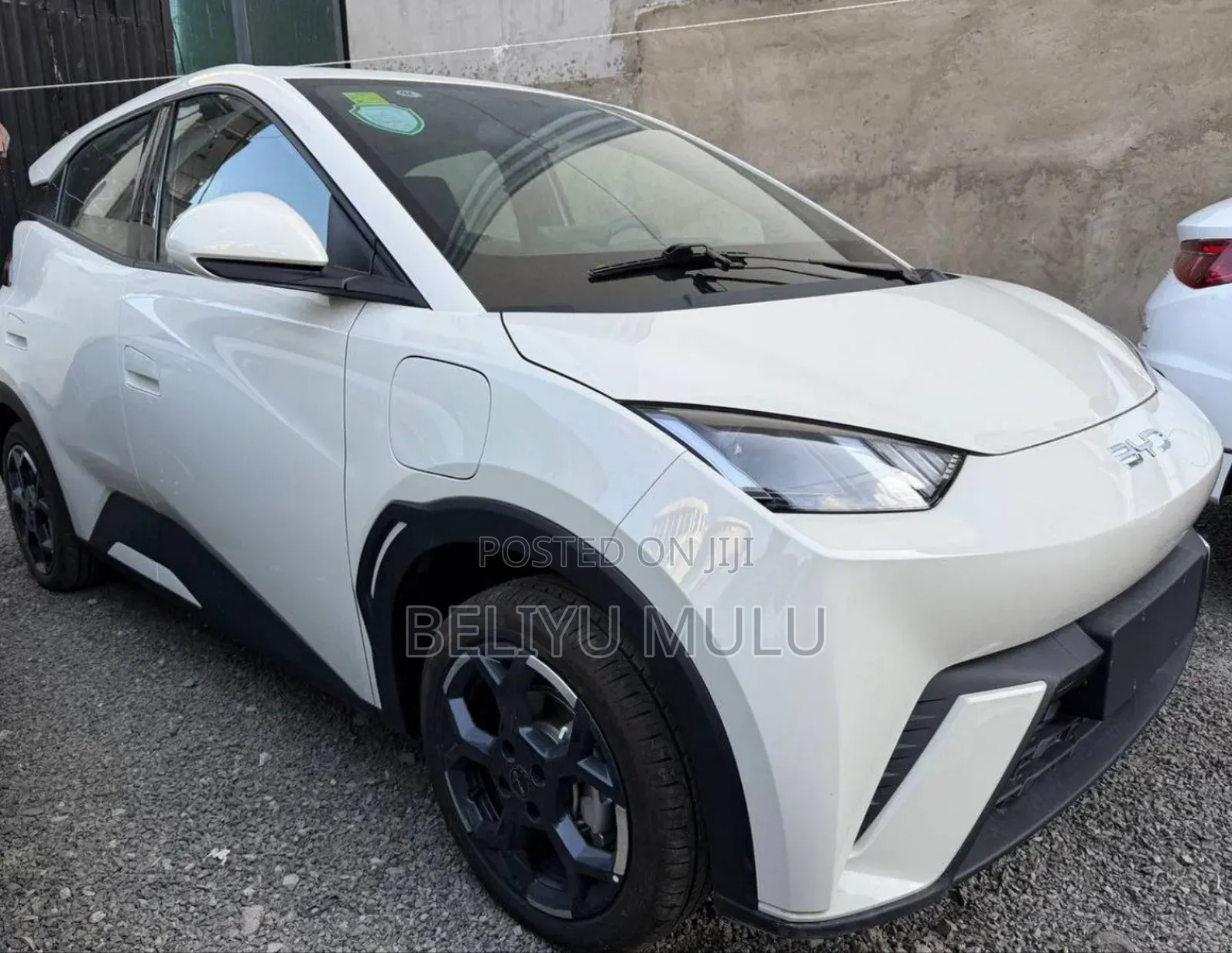 New BYD Seagull 2025 Brown