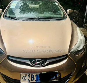 Hyundai Elantra 2014 Silver